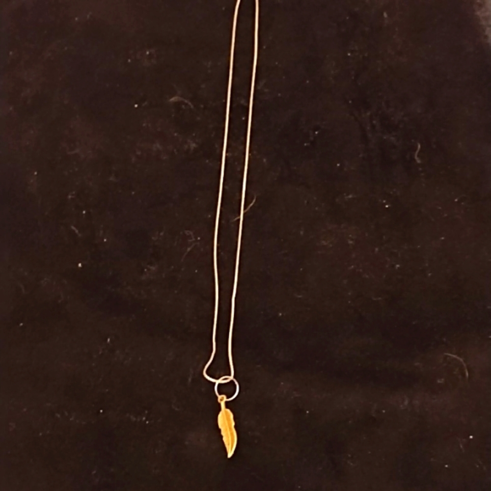 Ladies Silvertone Necklace w/Fig leaf Pendant